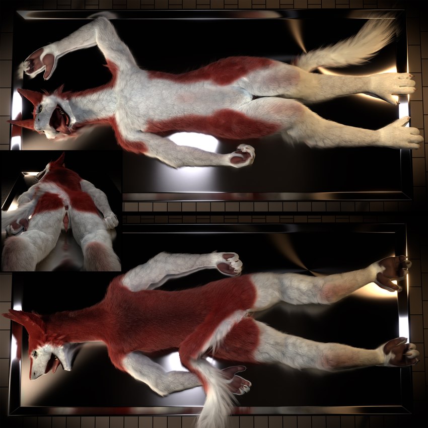 anthro autopsy_table barefoot claws clitoral_hood corpse death feet female fingers fur genitals grimdark morgue nude open_mouth paws prehensile_clitoral_hood pussy solo tail toes tongue ascaniololololol sergal_(untied_verbeger) sergal 1:1 3d_(artwork) absurd_res digital_media_(artwork) hi_res