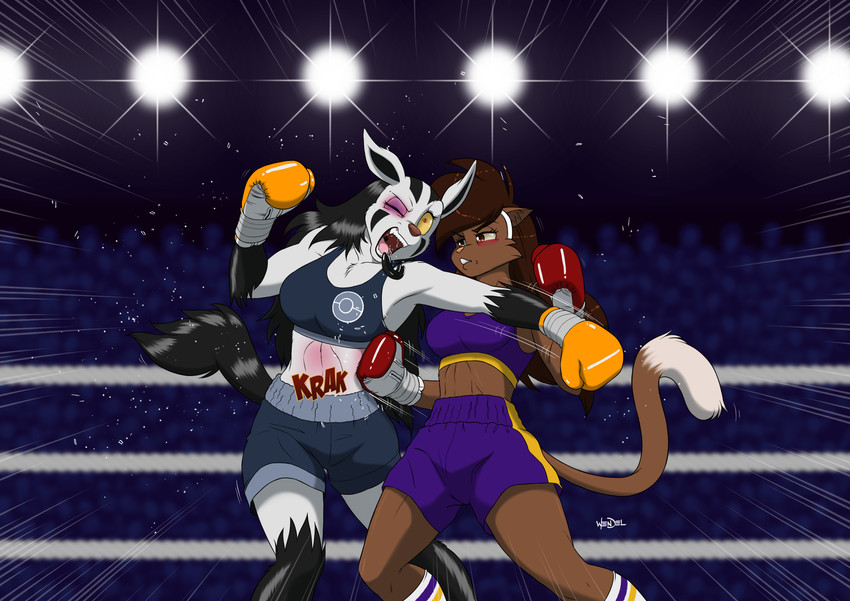 anthro anthrofied audience black_body black_eye_(injury) black_fur bottomwear boxing boxing_gloves bra brown_body brown_fur brown_hair bruised clothing defeated duo female fighting_ring fur grey_body grey_fur group hair handwear mouthguard shorts sport sports_bra underwear wendel_fragoso nintendo pokemon deborah_bispo canid canine domestic_cat felid feline felis generation_3_pokemon mammal mightyena pokemon_(species) 2020 absurd_res hi_res