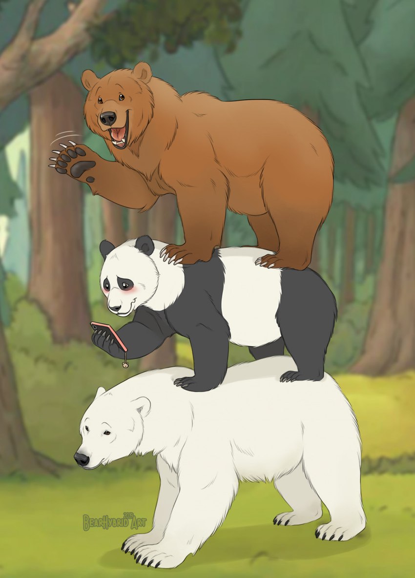 grizzly, ice bear, and panda (cartoon network and etc) created by bearhybrid