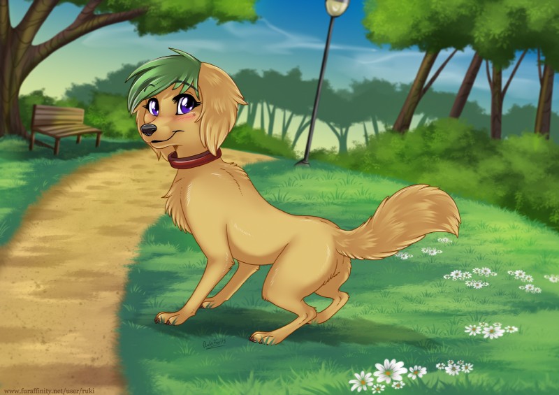 darcy the dog created by rukifox