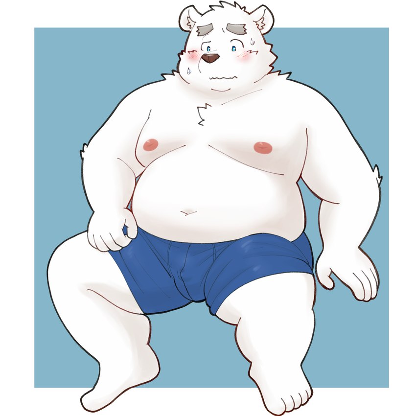 anthro belly big_belly blush bulge clothing fur humanoid_hands kemono male moobs navel nipples overweight overweight_male simple_background solo underwear white_body white_fur yaki_atsuage utau shirane_kan bear mammal polar_bear ursine 1:1 2024 hi_res