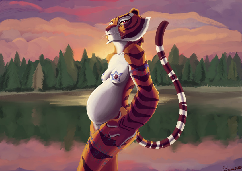 master tigress (kung fu panda and etc) created by sabrotiger