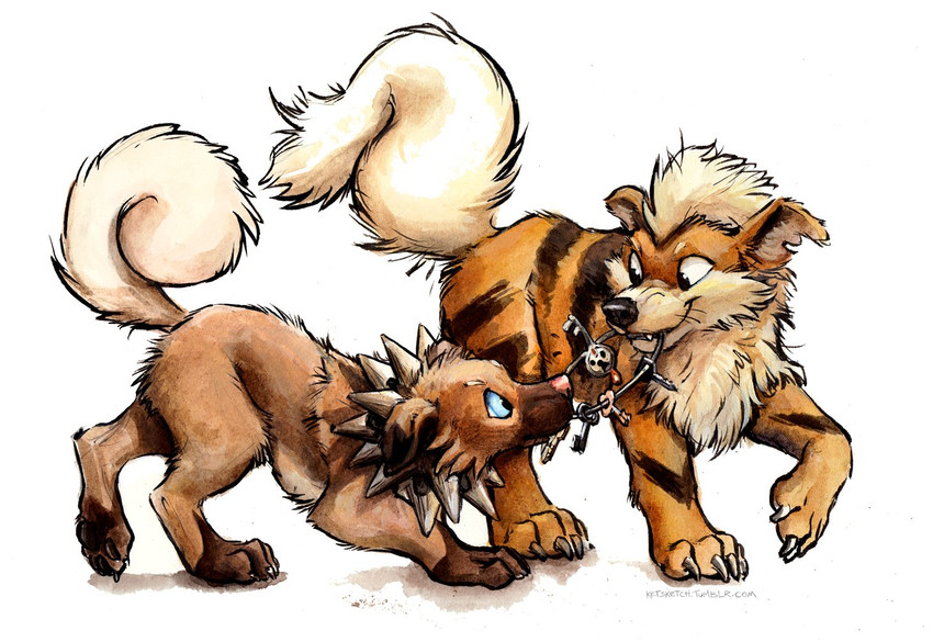 ambiguous_gender black_eyes black_markings black_nose blue_eyes brown_body brown_fur claws duo fangs feral fur key markings orange_body orange_fur pawpads pink_nose teeth tuft white_eyes kenket nintendo pokemon canid canine generation_1_pokemon generation_6_pokemon generation_7_pokemon growlithe klefki mammal pokemon_(species) rockruff painting_(artwork) signature traditional_media_(artwork) traditional_painting_(artwork)