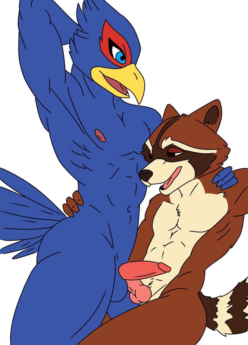 anthro duo grabbing male male/male sex overunderyou guardians_of_the_galaxy marvel nintendo star_fox falco_lombardi rocket_raccoon avian mammal procyonid raccoon hi_res