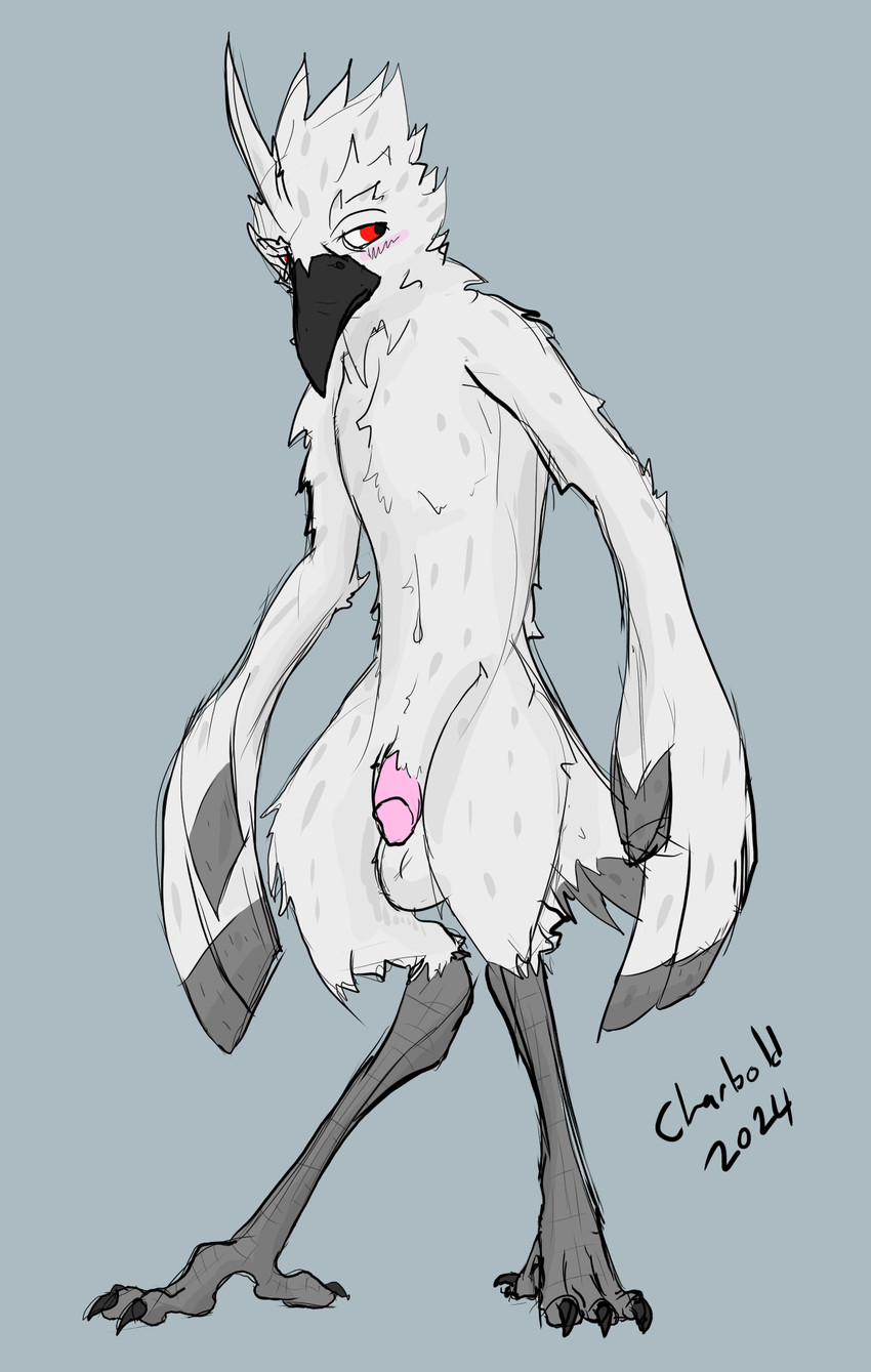 Rule 34 Dev - albino anthro balls beak feathers flaccid genitals male nude  penis red_eyes simple_background solo tail thick_thighs thin_calves  white_body white_feathers charbold asian_mythology east_asian_mythology  japanese_mythology mythology avian ...