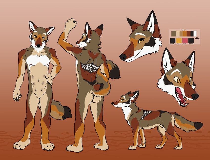 animal_genitalia anthro attached_sheath biped color_swatch eyebrows fangs feral fully_sheathed fur genitals male open_mouth quadruped sheath smile solo tail teeth feelferal yops_(psychedelicyops) canid canine canis coyote mammal hi_res model_sheet