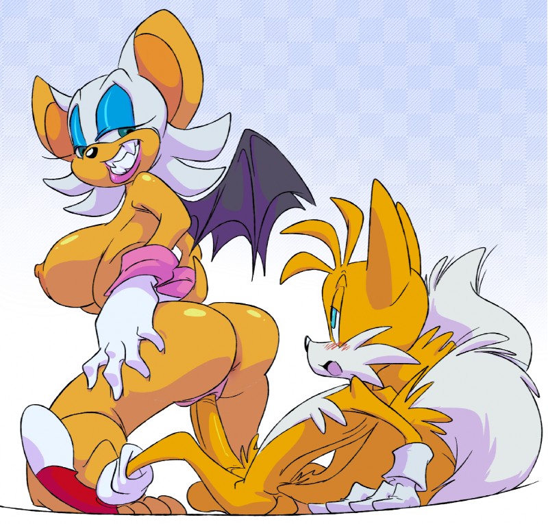 miles prower and rouge the bat (sonic the hedgehog (series) and etc) created by slb