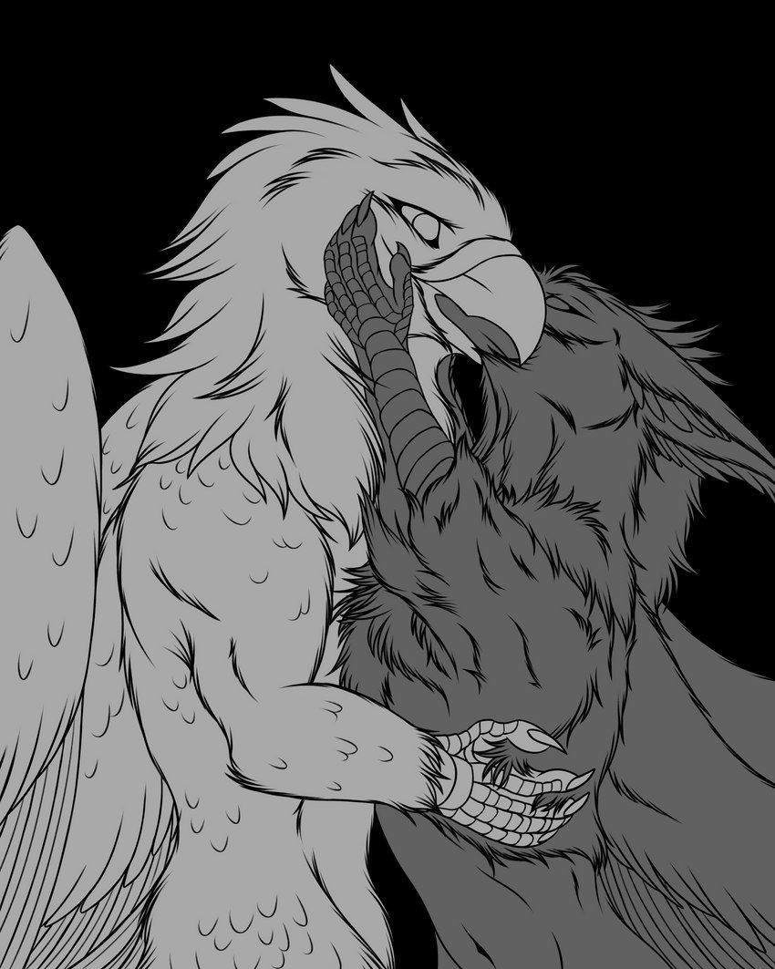 anthro beak_kiss deep_kiss duo feathered_wings feathers feet fur hug kissing male male/male talon_hands talons toes wings zirius european_mythology greek_mythology mythology alcander pentazer accipitrid accipitriform avian bald_eagle bird corvid corvus_(genus) eagle hippogriff mythological_avian mythological_creature mythological_equine oscine passerine raven sea_eagle 2023 4:5 absurd_res alpha_channel greyscale hi_res monochrome