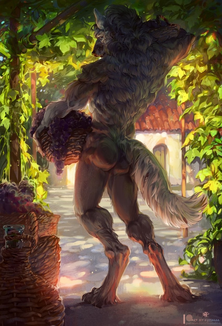 anthro basket black_claws black_nose building butt claws container day detailed_background digitigrade eyebrows feet food fruit fur glass glass_container grape grey_body grey_fur hair holding_basket holding_container holding_object house light looking_at_viewer looking_back male nude outside plant pose realistic realistic_fur shadow solo standing sunlight toes vines vineyard whiskers wine_bottle fossa666 canid canine canis mammal wolf 2022 detailed digital_media_(artwork) hi_res