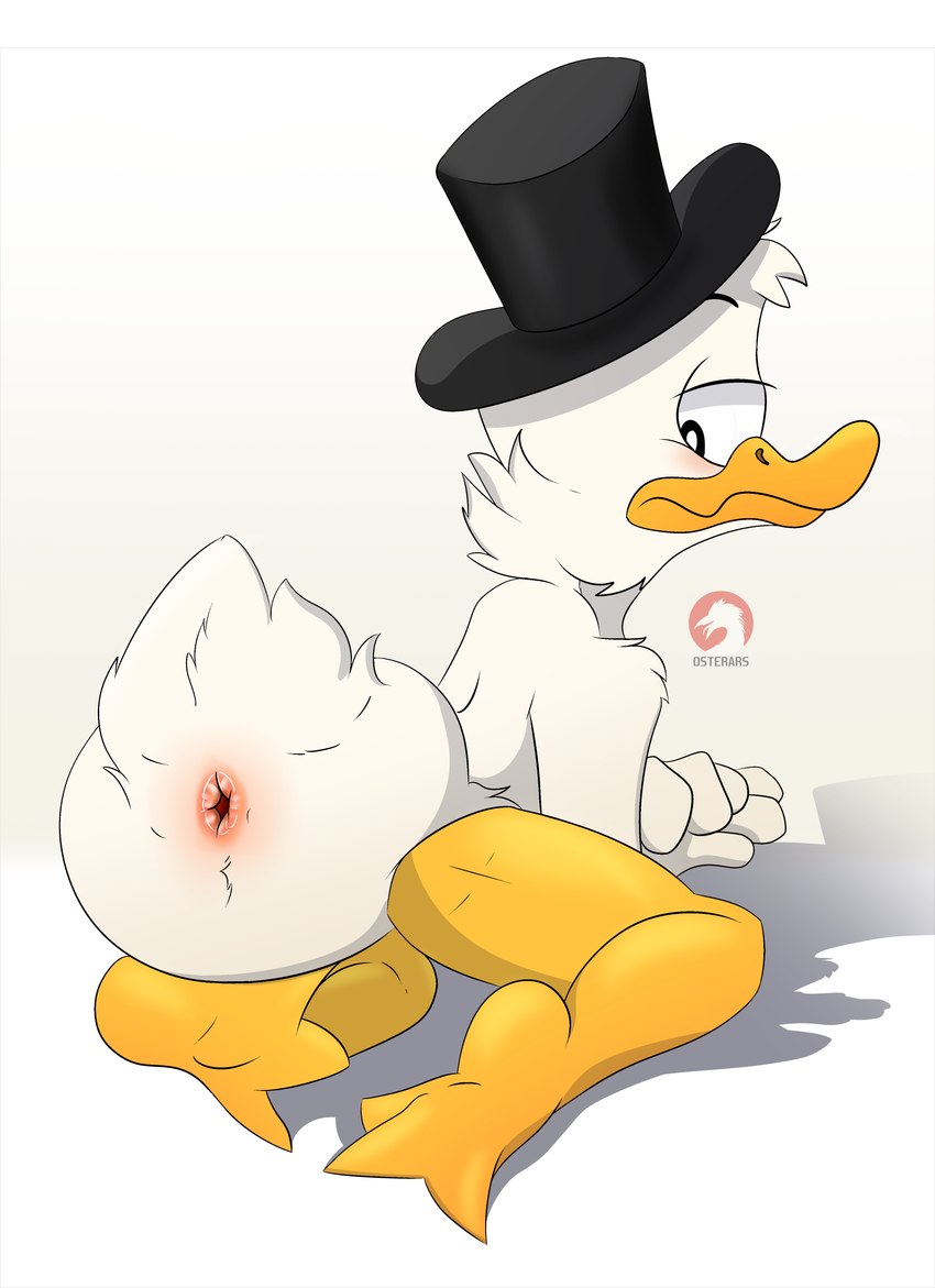 animal_genitalia anthro avian_butt beak black_eyes cloaca clothing genitals hat headgear headwear lying male nude presenting presenting_cloaca raised_tail simple_background solo tail white_background conditional_dnp osterars disney ducktales ducktales_(2017) scrooge_mcduck anatid anseriform avian bird duck 2024 absurd_res hi_res signature watermark