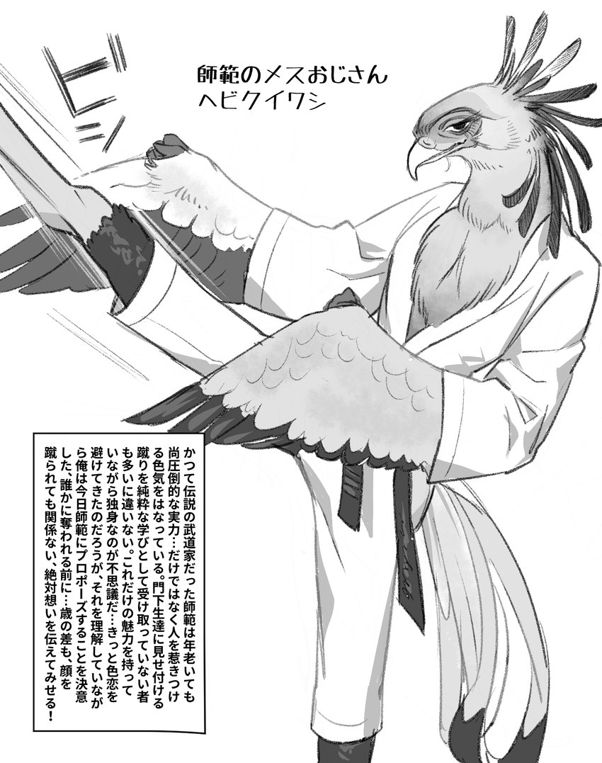 ambiguous_gender anthro beak clothed clothing feathered_wings feathers keikogi martial_arts_uniform solo sportswear text winged_arms wings buriburiri2 accipitriform avian bird secretary_bird hi_res japanese_text monochrome translation_request