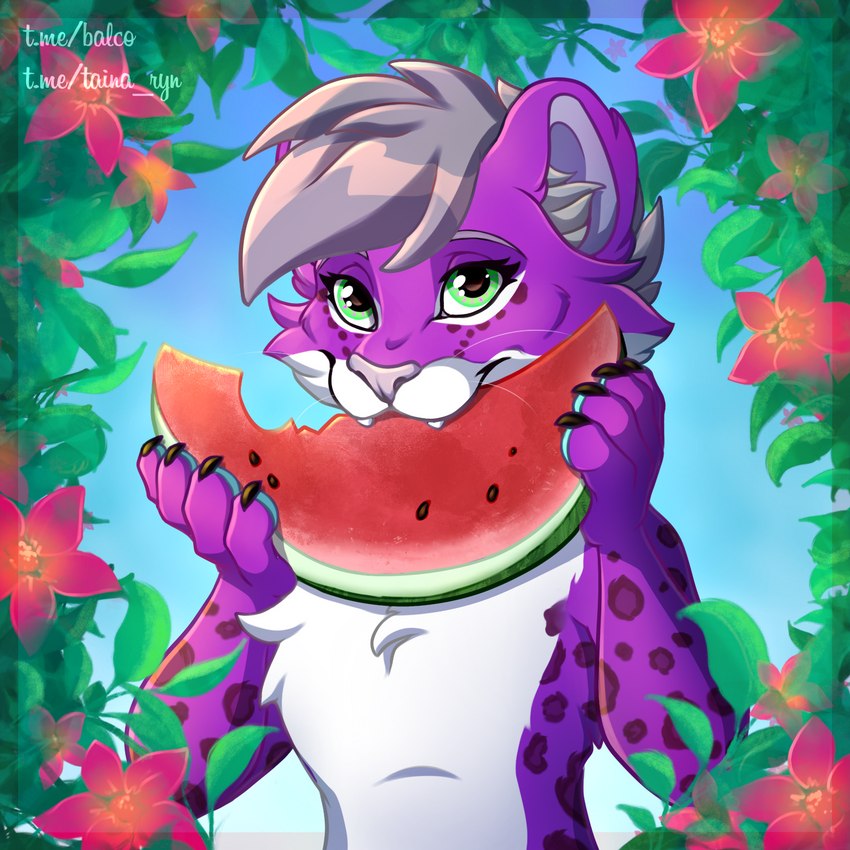 ambiguous_gender anthro detailed_food eating eating_food food fruit fur green_eyes hair markings melon paws plant purple_body purple_fur solo spots spotted_body spotted_fur summer tropical watermelon watermelon_slice white_body white_fur balco chakat_jaggerfrost(chakatjaggerfrost) chakat felid felid_taur feline mammal mammal_taur taur 1:1 detailed digital_media_(artwork) hi_res herm_(lore)