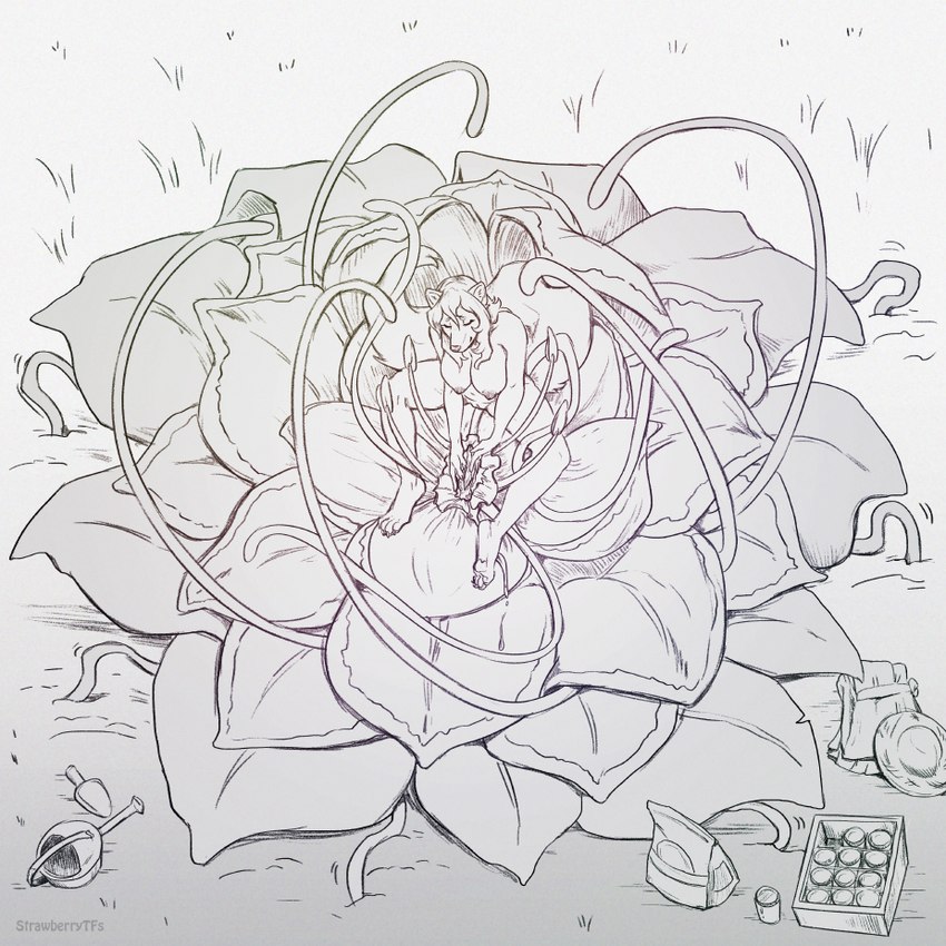 after_transformation ambiguous_form anthro areola backpack breasts duo female flower food genitals high-angle_view nipples nude outside petals plant pseudo_pussy pussy sitting sitting_on_another spread_legs spreading text trowel vines watering_can strawberrytfs berry_(strawberrytfs) canid canine canis domestic_dog hunting_dog mammal plant_monster saluki sighthound 1:1 2024 artist_name monochrome shaded