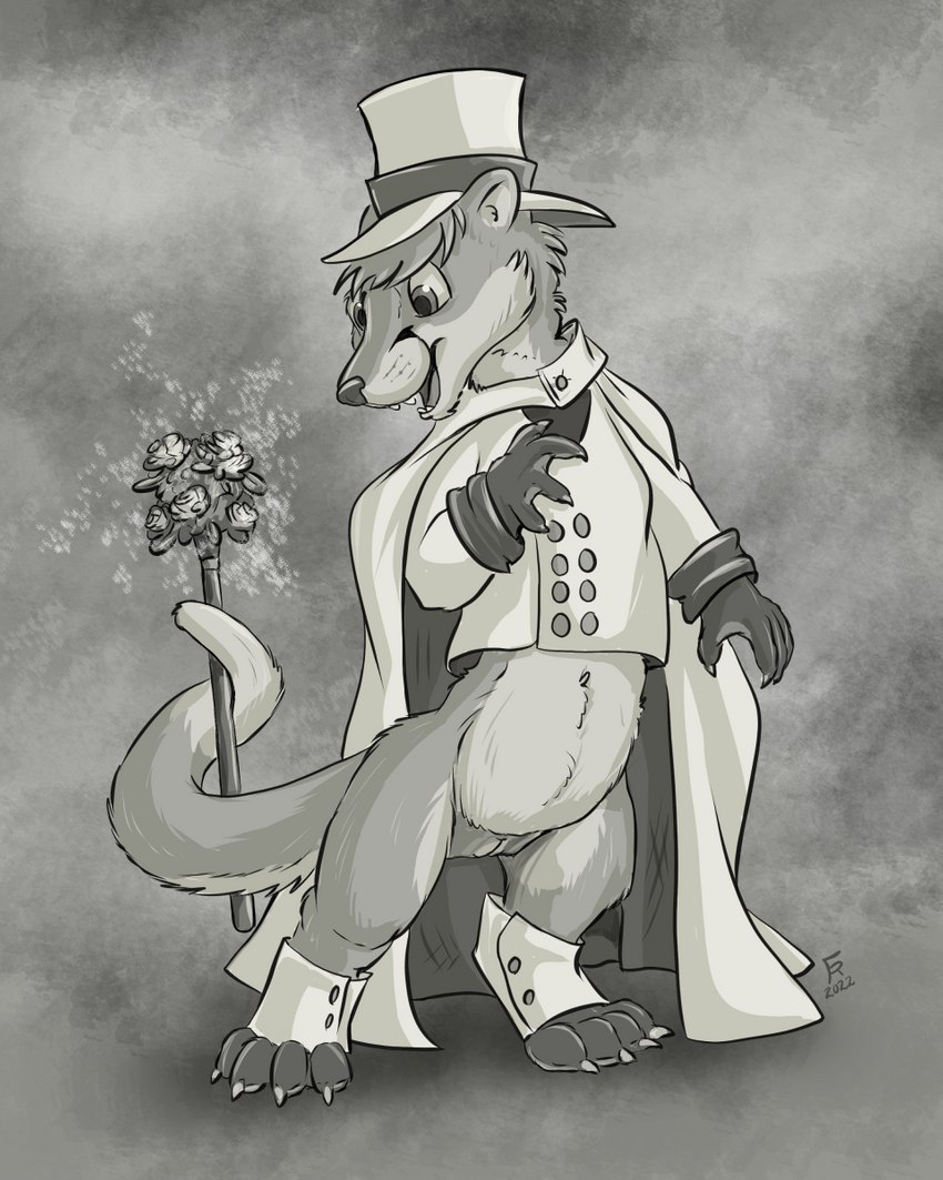 alternate_species andromorph anthro bottomless cane cape claws clothed clothing fur gender_transformation genitals hair hat headgear headwear intersex magic navel pussy solo top_hat transformation flinters faux_paw domestic_ferret mammal mustelid musteline true_musteline weasel 2022 4:5 greyscale hi_res monochrome