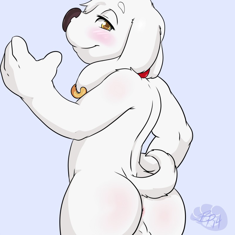 anthro anus blush butt collar ear_piercing grey_background half-closed_eyes looking_at_viewer male narrowed_eyes nude piercing pose simple_background smile solo bluepawpanda family_guy jasper_(family_guy) canid canine canis domestic_dog mammal 1:1 2014 hi_res shaded