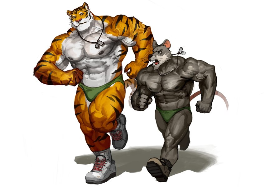 abs anthro clothed clothing dog_tags duo male male/male muscular muscular_anthro muscular_male nipples partially_clothed pecs size_difference striped_body stripes underwear vein veiny_muscles traver009 coach_ho felid mammal murid murine pantherine rat rodent tiger absurd_res hi_res