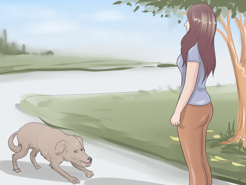 ambiguous_gender bodily_fluids detailed_background drooling duo female feral grass outside plant saliva what unknown_artist wikihow canid canine canis domestic_dog human mammal 4:3 absurd_res hi_res official_art