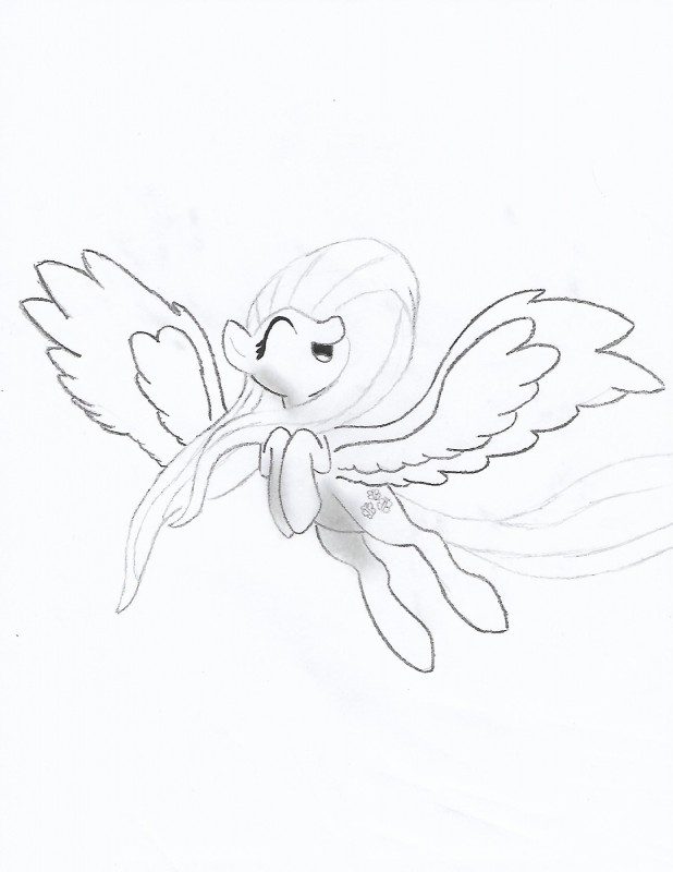 fluttershy (friendship is magic and etc) created by luno