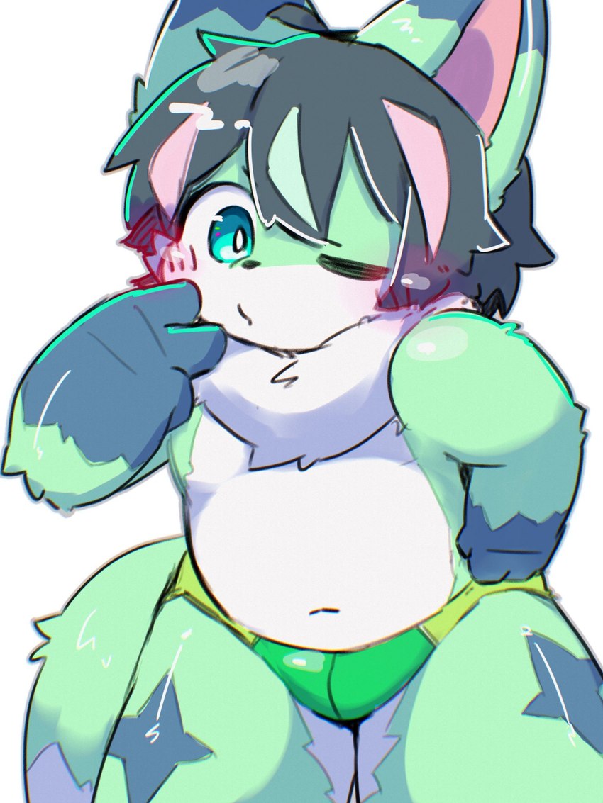 ahoge anthro black_nose blue_body blue_ear_tips blue_eyes blue_fur blue_markings blue_tail blush blush_lines clothed clothing countershade_body countershade_face countershade_legs countershade_thighs countershading dipstick_ears dipstick_tail ear_markings front_view fur gesture gloves_(marking) green_body green_clothing green_ears green_fur green_highlights green_speedo green_swimwear grey_hair hair hand_gesture hand_on_hip highlights_(coloring) kemono looking_at_viewer male markings multicolored_ears navel neck_tuft one_eye_closed pink_highlights pink_inner_ear pose pupils solo speedo swimwear tail tail_markings tuft underwear underwear_only v_sign white_body white_countershading white_face white_fur white_pupils white_tail_tip young young_anthro young_male shouka_2810 production_taiikukan polaris_(polaris_mint) canid canine fox mammal 2023 3:4 digital_media_(artwork) hi_res portrait three-quarter_portrait