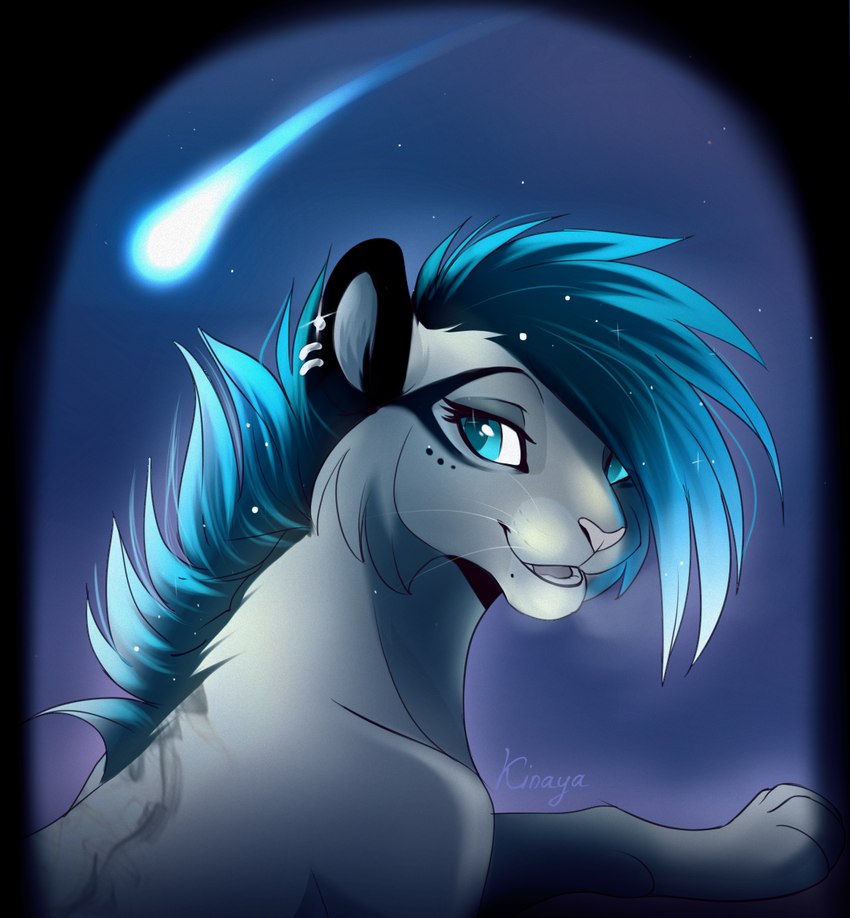 blue_eyes blue_hair cheek_tuft ear_piercing eyelashes facial_tuft female feral fur grey_body grey_fur hair looking_at_viewer open_mouth outside paws piercing pink_nose shooting_star sky solo tuft whiskers layala felid mammal 2017 artist_name digital_media_(artwork) hi_res shaded smaller_version_at_source