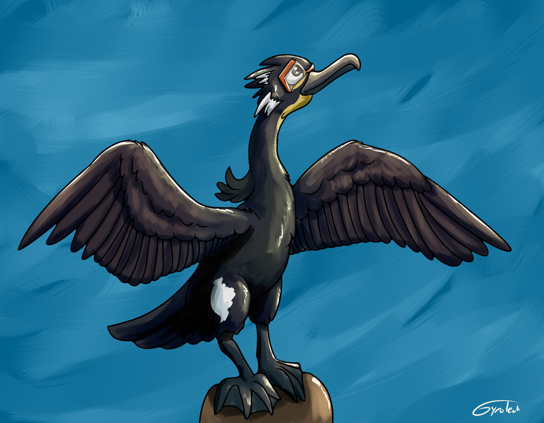 avian_feet beak black_body cheek_markings eyewear facial_markings feathered_wings feathers feet feral glasses head_markings markings membrane_(anatomy) solo spread_wings timelapse_at_source toes webbed_feet white_markings wings gyrotech avian bird cormorant spectacled_cormorant suliform absurd_res hi_res