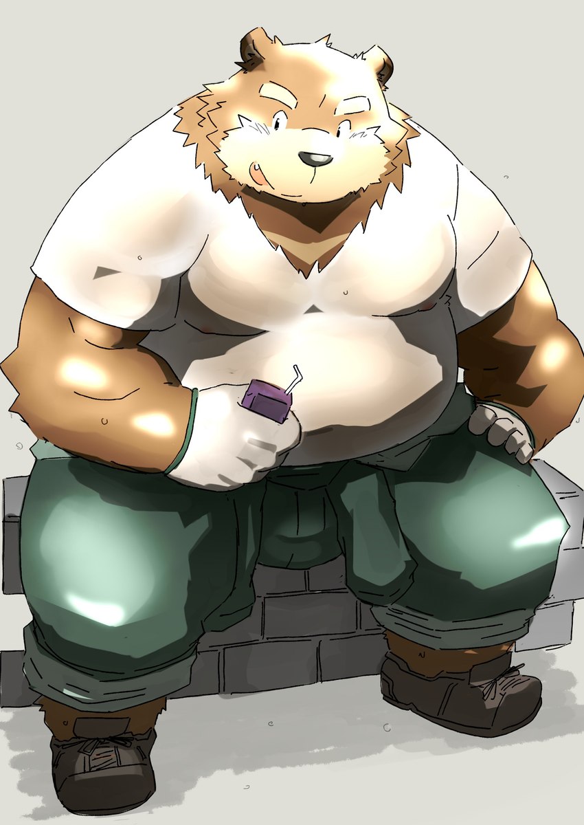 anthro belly big_belly bottomwear brown_body clothing kemono male overweight overweight_male pants shirt sitting solo topwear kisukemk777 bear mammal 2024 absurd_res hi_res