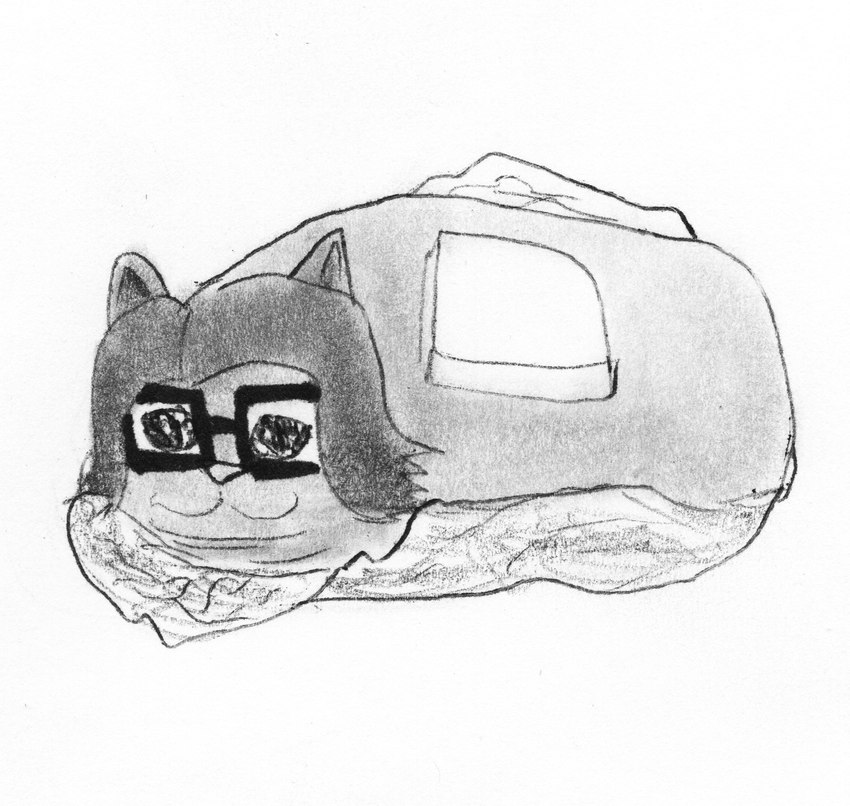 anthro black_hair burrito butter cat_nose dairy_products eyewear feral food glasses hair long_hair male sad solo tinfoil efradraws crying_cat efrasona domestic_cat felid feline felis mammal graphite_(artwork) hi_res marker_(artwork) meme monochrome pen_(artwork) traditional_media_(artwork)