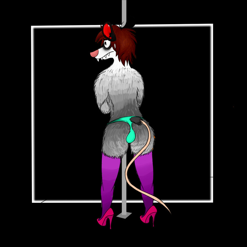 anthro backwards bulge butt clothing dancing footwear high_heels legwear male pole pole_dancing shoes socks solo faticox_(artist) american_opossum mammal marsupial 1:1