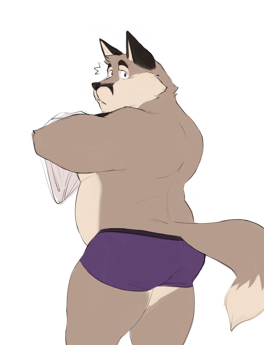 anthro back_muscles belly butt clothing facial_markings fur gloves_(marking) grey_body grey_fur head_markings looking_at_viewer looking_back male markings musclegut muscular overweight overweight_male pecs purple_clothing purple_underwear rear_view shirt simple_background solo surprise surprised_expression tail topwear underwear undressing shibacream chord_progressions eddy_(chord_progressions) canid canine fox grey_fox mammal urocyon absurd_res colored hi_res sketch