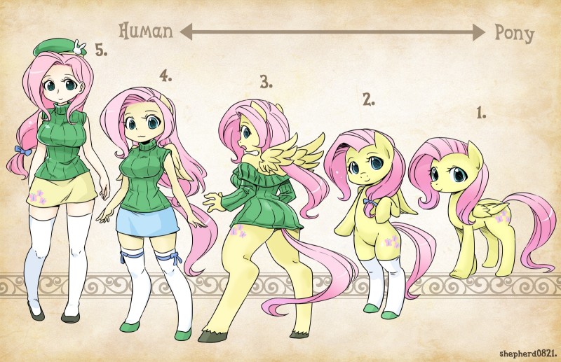 fluttershy (friendship is magic and etc) created by shepherd0821