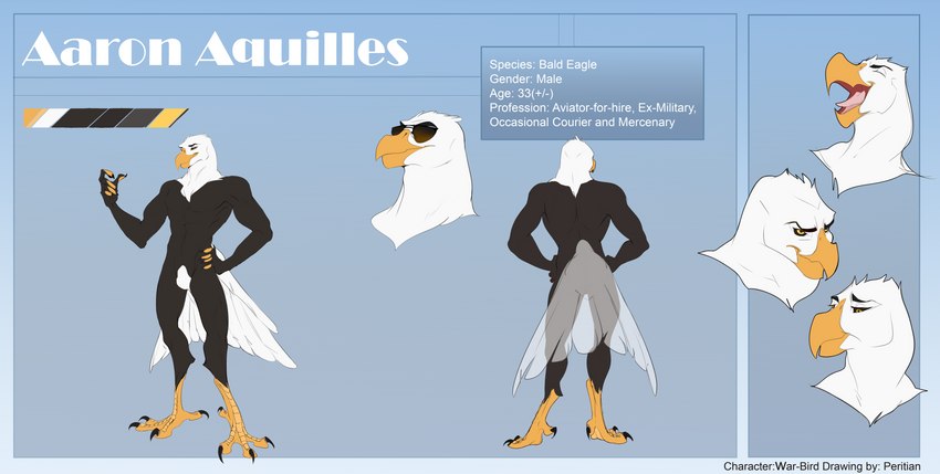 anthro beak black_sclera claws eyebrows eyewear feathers feet glasses male muscular muscular_male nude partial_nudity simple_background solo standing sunglasses tail tail_feathers talon_hands talons text toes white_body white_feathers yellow_beak peritian war-bird aaron_(war-bird) accipitrid accipitriform avian bald_eagle bird eagle sea_eagle absurd_res digital_media_(artwork) english_text hi_res model_sheet