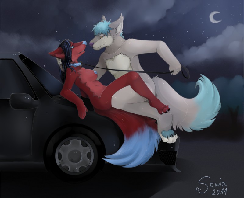 4_toes 5_fingers anthro anthro_on_anthro black_hair blue_hair blue_nipples blue_nose blue_tail blush breasts car cheek_tuft cloud collar countershading dipstick_tail dominant dominant_male duo ear_tuft facial_tuft feet female fingers fur grey_body grey_fur grey_tail hair holding_leash holding_object inner_ear_fluff leash long_hair male male/female markings moon multicolored_body multicolored_fur multicolored_tail night nipples nude on_hood outside pink_nose raised_leg red_body red_fur sex shadow short_hair side_view sitting sky standing star starry_sky submissive tail tail_markings toes tuft two_tone_body two_tone_fur two_tone_tail vehicle white_body white_fur white_tail sowia honda bade-lone-wolf kinky_wolfess canid canine mammal 2011 better_version_at_source full-length_portrait portrait signature