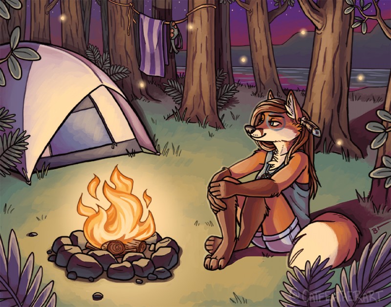 anthro bikini bikini_top biped bottomwear brown_hair campfire chest_tuft clothing detailed_background dipstick_tail discarded_clothing ear_piercing female forest gloves_(marking) hair inner_ear_fluff leg_markings long_hair markings multicolored_tail night outside piercing plant shirt shorts sitting smile socks_(marking) solo swimwear tail tail_markings tent topwear towel tree tuft two-piece_swimsuit abigfathen canid canine fox mammal 2017