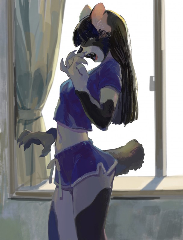 5_fingers anthro black_body black_fur black_hair bottomwear claws clothed clothing dolphin_shorts eyes_closed female fingers fur hair inside kemono long_hair navel open_mouth shorts side_view solo standing teeth white_body white_fur window yawn pororikin domestic_cat felid feline felis mammal absurd_res hi_res