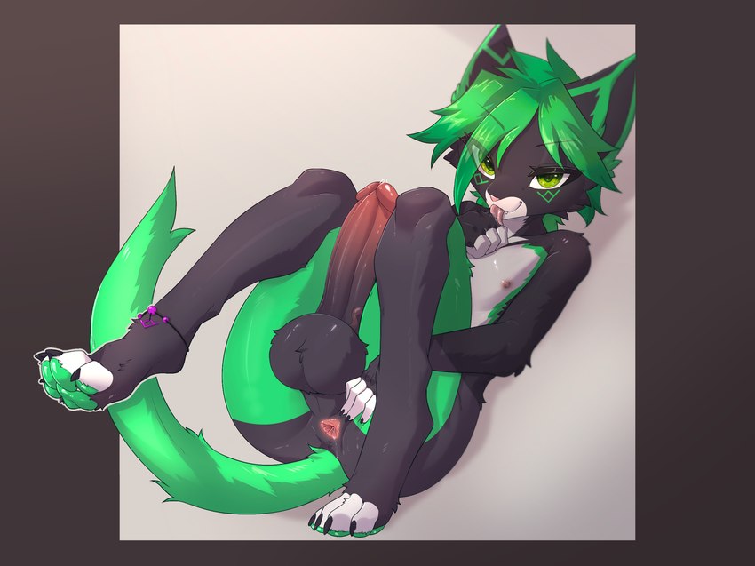 4_toes anklet anthro anus balls bedroom_eyes big_balls big_penis black_balls black_body black_claws black_fur black_paws claws countershading erection facial_markings feet femboy fur genitals gradient_background gradient_penis green_eyes green_hair green_markings green_pawpads green_tail hair hair_over_eye hand_lick head_markings hindpaw humanoid_genitalia humanoid_penis jewelry licking lying male markings multicolored_body multicolored_ears narrowed_eyes nipples nude on_back pawpads paws penis personal_grooming presenting presenting_anus seductive self_lick simple_background solo spread_anus spreading tail toes tongue tongue_out torso_markings white_body white_countershading white_toes ricky945 aevyn felid feline mammal hi_res