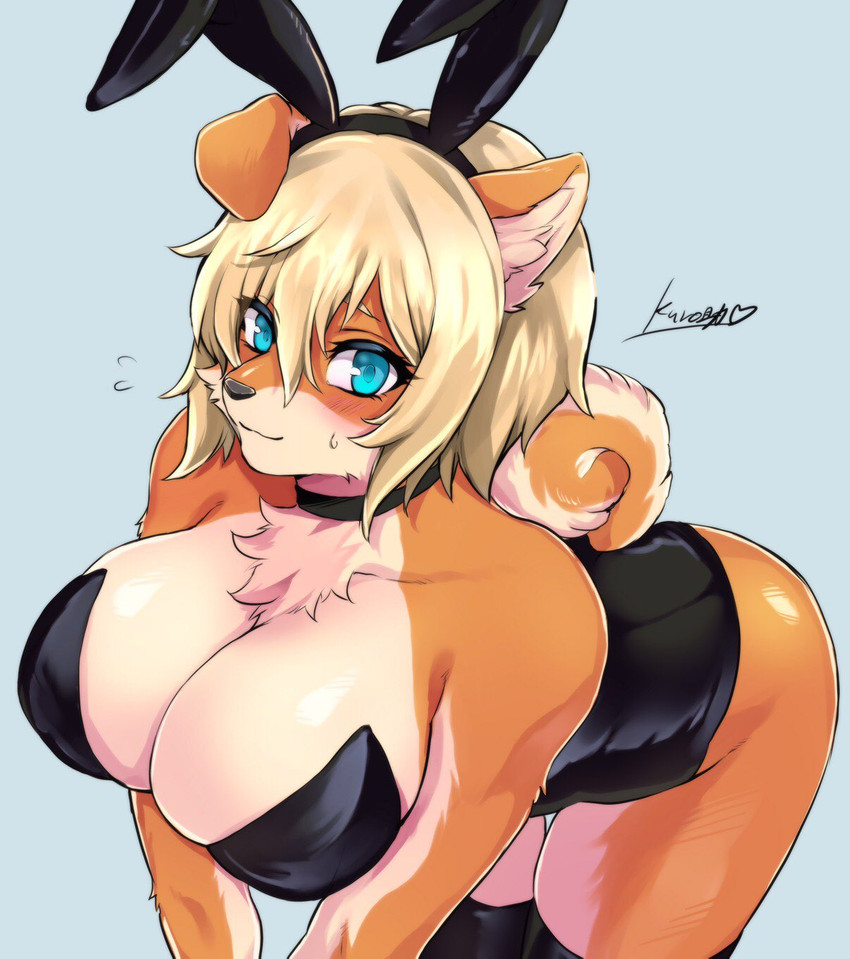 anthro bent_over big_breasts biped black_choker black_clothing black_jewelry black_legwear black_leotard black_necklace black_nose blonde_hair blue_eyes blush bodily_fluids breasts brown_body brown_fur bunny_costume cheek_tuft chest_tuft choker cleavage clothed clothing costume countershading curled_tail facial_tuft fake_ears fake_rabbit_ears female floppy_ears fur fur_tuft hair hair_between_eyes inner_ear_fluff jewelry kemono leaning leaning_forward legwear leotard looking_at_viewer monotone_clothing multicolored_body multicolored_fur necklace orange_body orange_ears orange_fur orange_tail short_hair simple_background smile solo standing stockings strapless_clothing strapless_leotard sweat tail tan_body tan_fur tan_inner_ear tan_tail thigh_highs three-quarter_view tuft two_tone_body two_tone_fur two_tone_tail kurosuke0755 canid canine canis domestic_dog mammal shiba_inu spitz 2020 hi_res signature