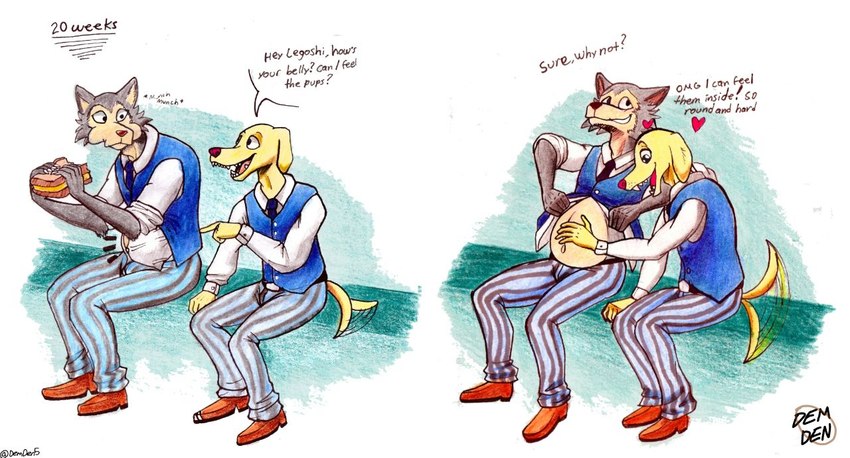 anthro clothing duo hand_on_belly male pregnant pregnant_anthro pregnant_male tail tail_motion tailwag text phantrieux beastars jack_(beastars) legoshi_(beastars) bird_dog canid canine canis domestic_dog hunting_dog labrador mammal retriever wolf english_text