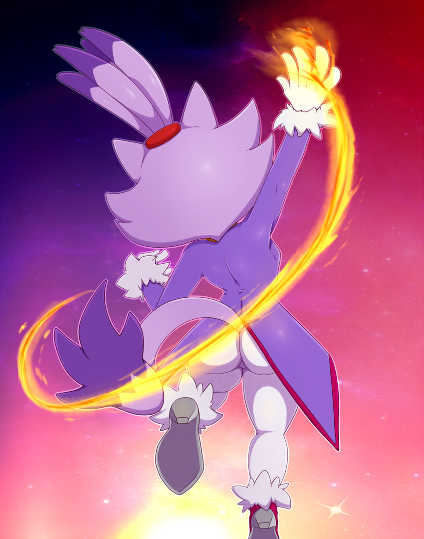 blaze the cat (sonic the hedgehog (series) and etc) created by bigdon1992