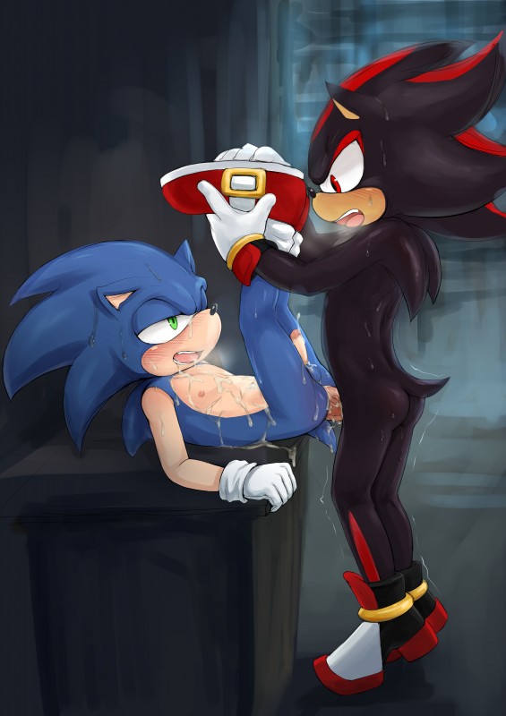 shadow the hedgehog and sonic the hedgehog (sonic the hedgehog (series) and etc) created by fairwind