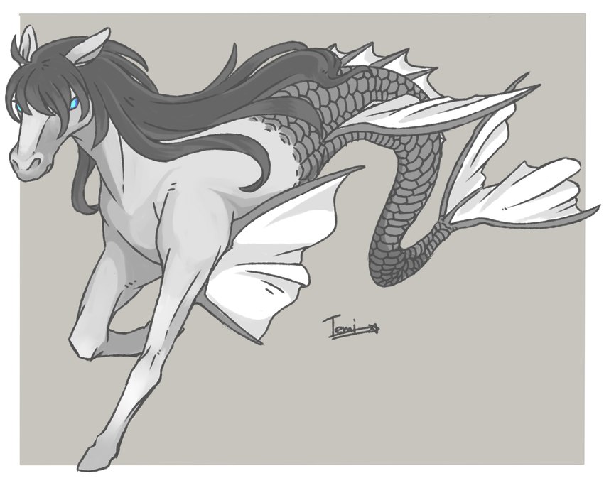 ambiguous_gender blue_eyes border feral fin fish_tail fur grey_background grey_body grey_ears grey_fur grey_hair grey_scales hair hooves scales simple_background solo three-quarter_view white_border temitess celtic_mythology european_mythology greek_mythology mythology equid equine hippocampus mammal marine mythological_creature mythological_equine 2016 absurd_res artist_name full-length_portrait hi_res portrait