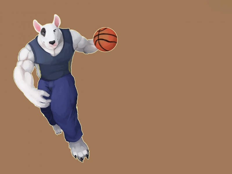 4_toes action_pose anthro ball barefoot basketball basketball_(ball) biceps big_muscles biped black_body black_claws black_fur black_markings black_nose blue_bottomwear blue_clothing blue_pants blue_shirt blue_topwear bottomwear brown_background claws clothed clothing eye_markings feet front_view fully_clothed fur grey_eyes holding_ball holding_object looking_at_viewer male markings multicolored_body multicolored_fur muscular muscular_anthro muscular_male pants pose running shirt simple_background snout solo standing tank_top toe_claws toes topwear two_tone_body two_tone_fur white_body white_fur monchi austin_roth bull_terrier canid canine canis domestic_dog hunting_dog mammal terrier 2013 4:3 digital_media_(artwork) digital_painting_(artwork) shaded soft_shading