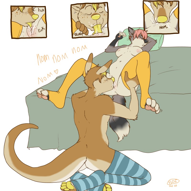 anthro anthro_on_anthro bed clothing cunnilingus duo female footwear fur furniture genitals legwear licking male male/female oral pussy sex socks stockings tail toeless_footwear toeless_socks tongue tongue_out vaginal yellow_body yellow_fur floebean floe_(character) canid canine kangaroo macropod mammal marsupial 1:1 absurd_res hi_res