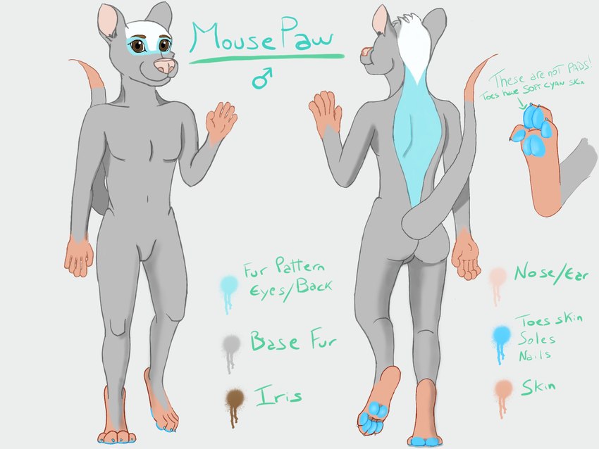 paws solo mousepaw hybrid mammal mouse murid murine mustelid otter rodent 4:3 hi_res model_sheet