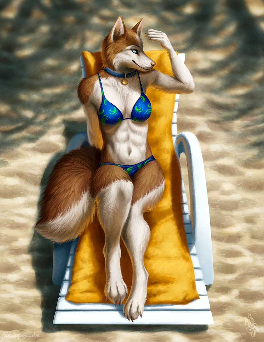 anthro beach_chair beach_towel bikini blue_collar blue_eyes clothed clothing collar detailed_background female fingers fur light looking_away orange_body orange_fur outside sand seaside shadow smile solo swimwear towel two-piece_swimsuit whiskers white_body white_fur kippycube elodie_(ortaon) canid canine canis domestic_dog husky mammal nordic_sled_dog spitz 2021 detailed digital_drawing_(artwork) digital_media_(artwork) lighting