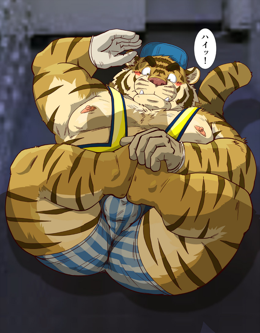 anthro belly blush bulge butt clothing cute_fangs fangs gloves handwear hat headgear headwear humanoid_hands kemono male moobs nipples overweight overweight_anthro overweight_male pink_nose solo teeth text underwear raichoclub felid mammal pantherine tiger 2020 hi_res japanese_text