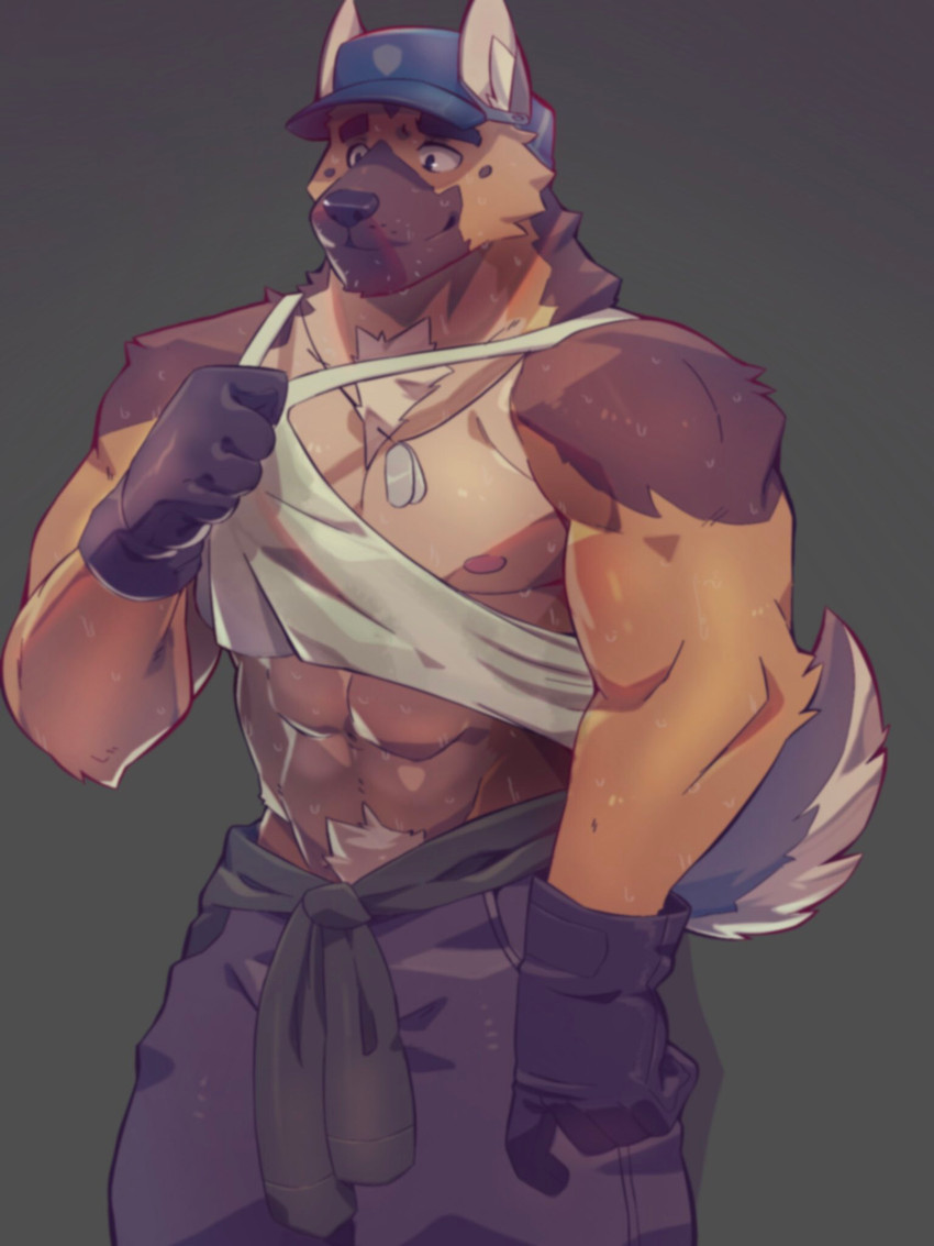 abs anthro biceps clothing fur gloves handwear headgear headwear kemono male muscular muscular_anthro muscular_male nipples pecs solo tiggon_the_great canid canine canis domestic_dog german_shepherd herding_dog mammal pastoral_dog 3:4 hi_res