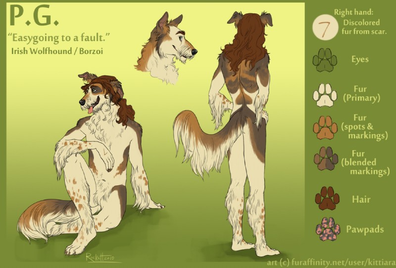 animal_genitalia anthro balls biped brown_hair fully_sheathed genitals hair long_hair male nude sheath solo spots tail text tongue kittiara p.g._(daswuetend) borzoi canid canine canis domestic_dog hunting_dog hybrid irish_wolfhound mammal sighthound 2010 english_text model_sheet