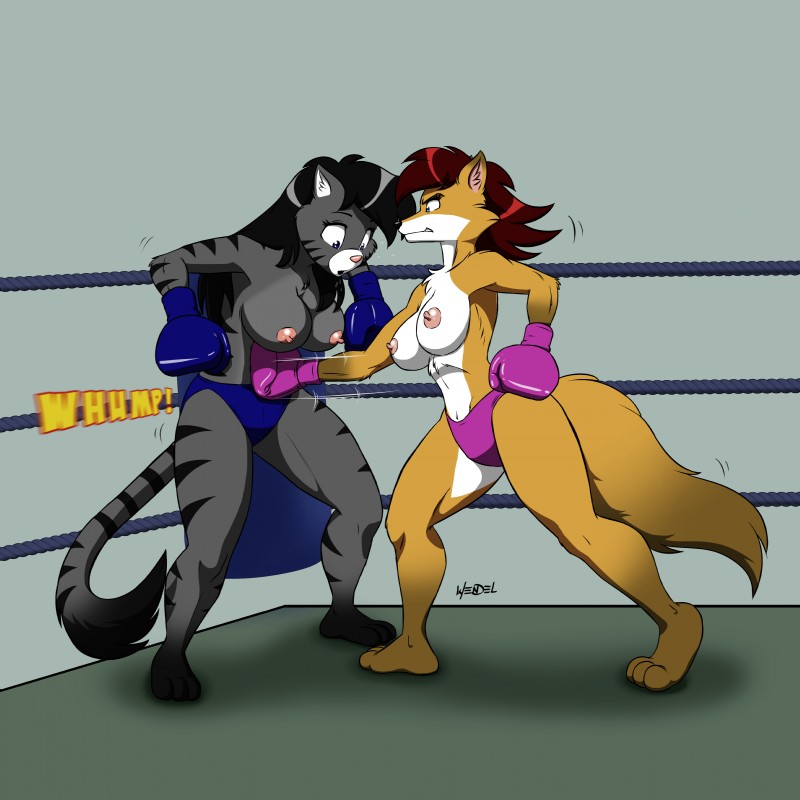 3_toes anthro areola athletic barefoot belly big_breasts black_hair black_nose blue_eyes boxing boxing_gloves breasts chest_tuft clothed clothing cornered duo erect_nipples feet female female/female fight fighting_ring fur grey_belly grey_breasts gutpunch hair handwear inner_ear_fluff interspecies markings mostly_nude motion_lines multicolored_body multicolored_fur navel nipples ouch panties pink_areola pink_nipples pink_nose pinned plantigrade punch red_hair side_boob sound_effects sport striped_markings striped_tail stripes surprise tail tail_markings toes topless tuft two_tone_body two_tone_fur two_tone_tail underwear white_belly white_breasts wendel_fragoso canid canine domestic_cat felid feline felis fox mammal 1:1 2017 absurd_res hi_res