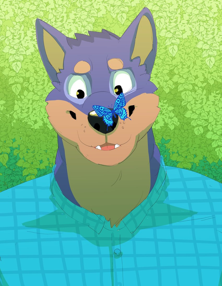 anthro biped black_nose blue_clothing blue_dress_shirt blue_shirt blue_topwear brown_body brown_fur butterfly_on_nose clothed clothing detailed_background dress_shirt fur male multicolored_body multicolored_fur open_mouth open_smile outside purple_body purple_fur sharp_teeth shirt smile solo teeth topwear two_tone_body two_tone_fur daire301 pupserif arthropod butterfly canid canine canis domestic_dog insect lepidopteran mammal 2021 digital_media_(artwork) hi_res