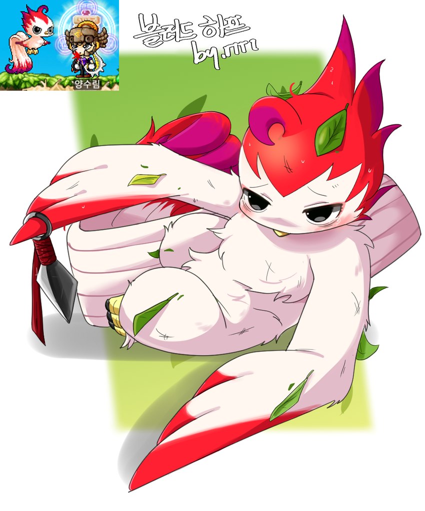 ambiguous_gender anthro anthrofied beak black_eyes blush bodily_fluids claws kunai leaf lying red_body screencap solo tears text weapon maplestory blood_harp avian bird 5:6 hi_res korean_text